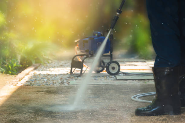 Animal Enclosure Cleaning in Conway, FL